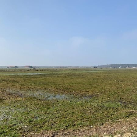 Onder De Pannen Villa Hollum  Exteriör bild